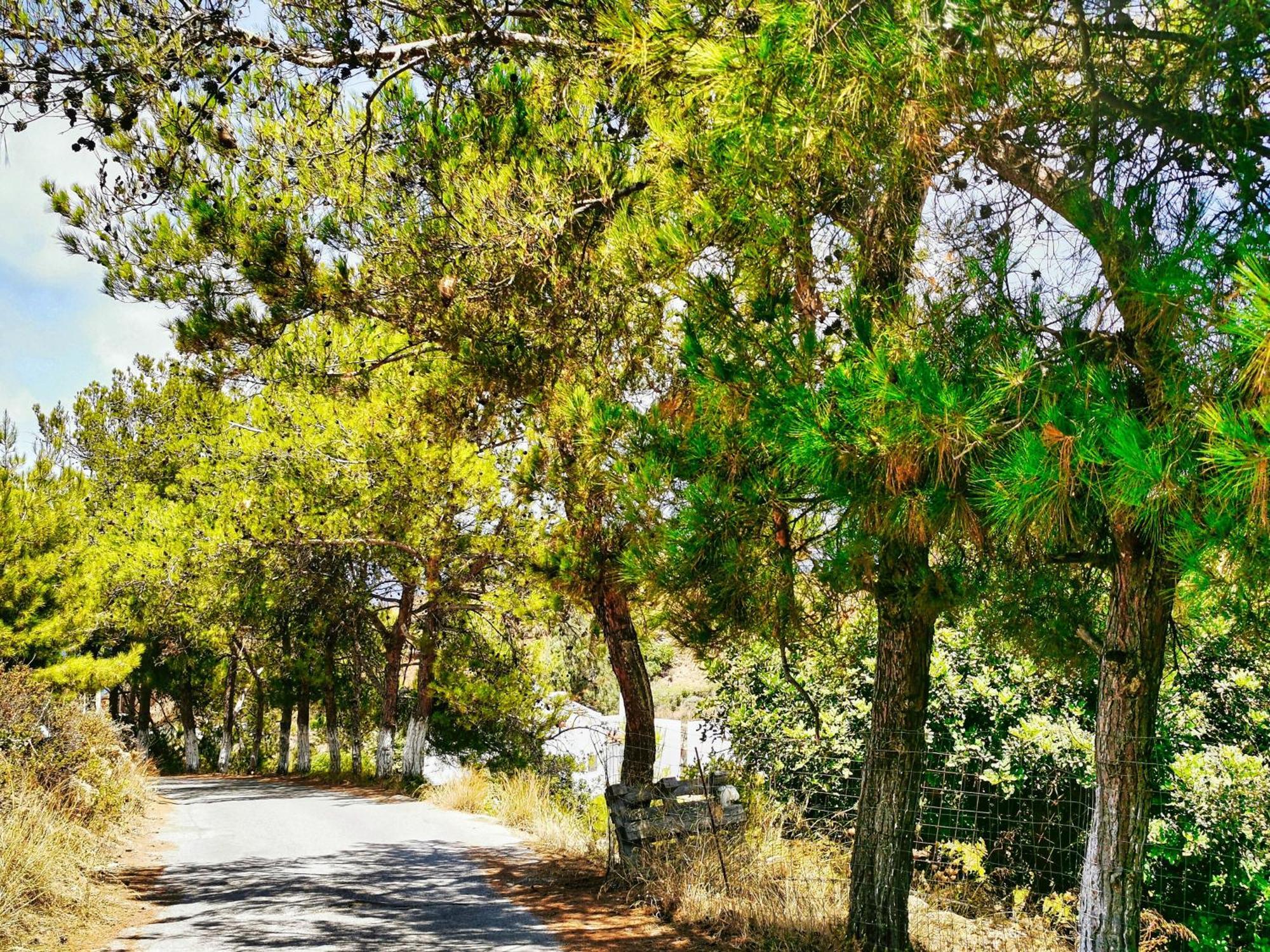 Pánormos Ble Residence, Your Home Away From Home מראה חיצוני תמונה